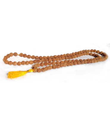 Mala de rudraksha
