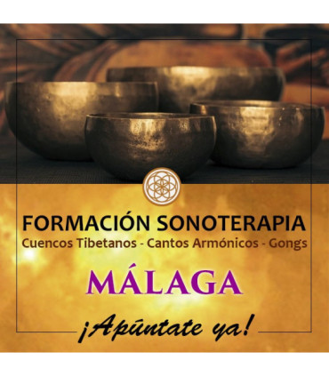 Reserva Formación Terapia De Sonido Malaga