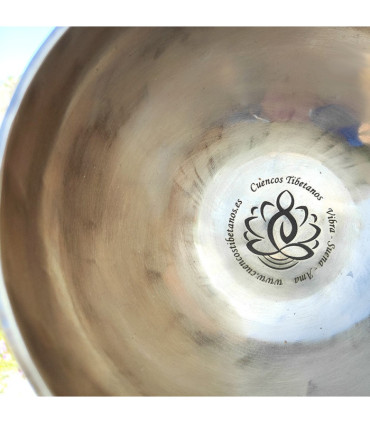 Set Profesional 7 Cuencos tibetanos 1