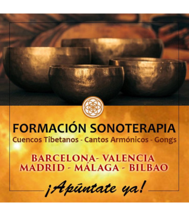 Formación terapia de sonido módulo